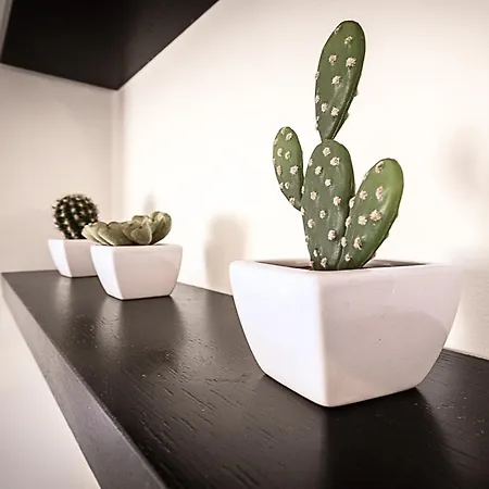 Appartement Relaxhome *